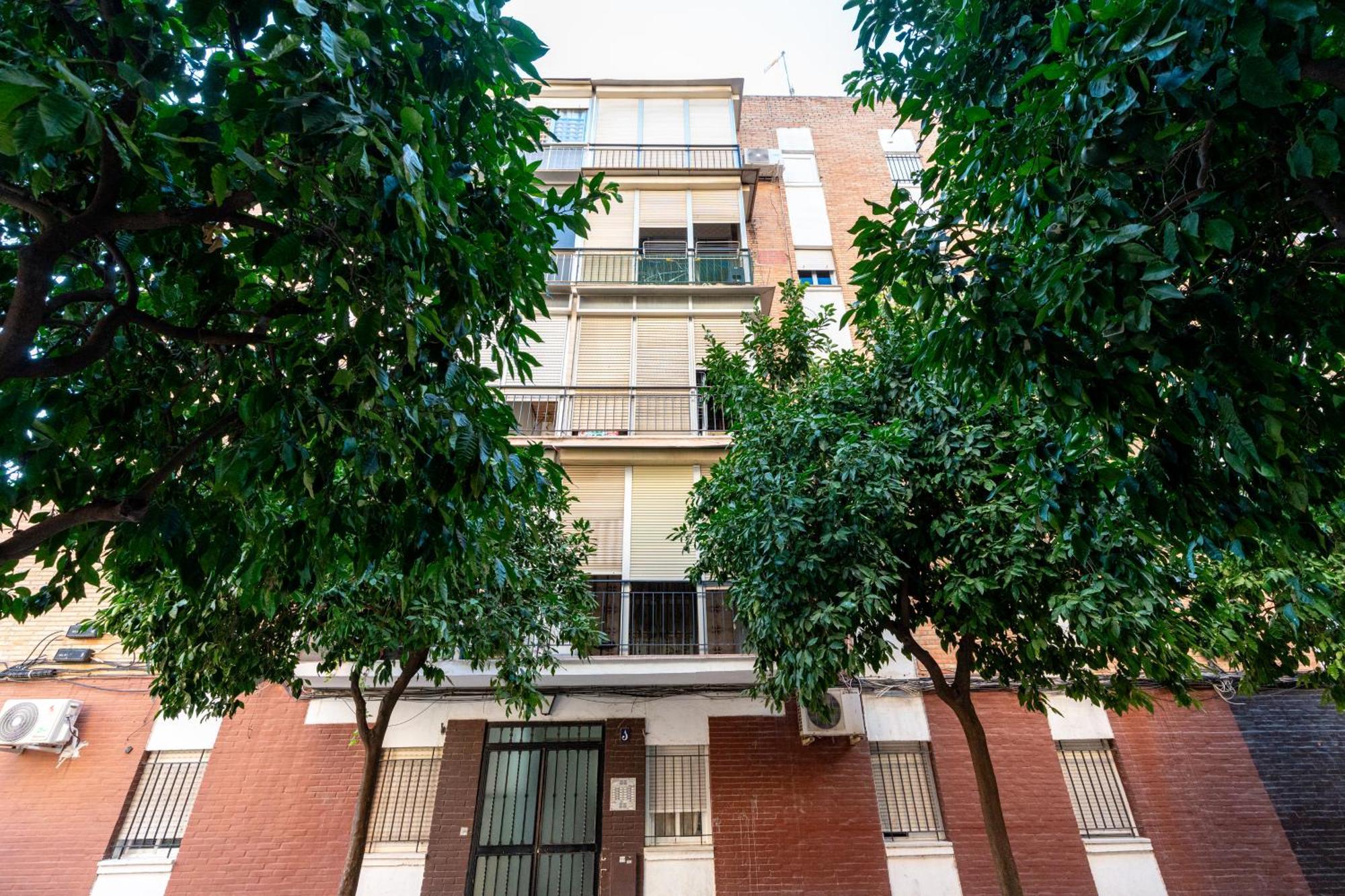 Piso Elegante Y Nuevo De 3 Habitaciones Y 2 Banos Sevilla Eksteriør billede