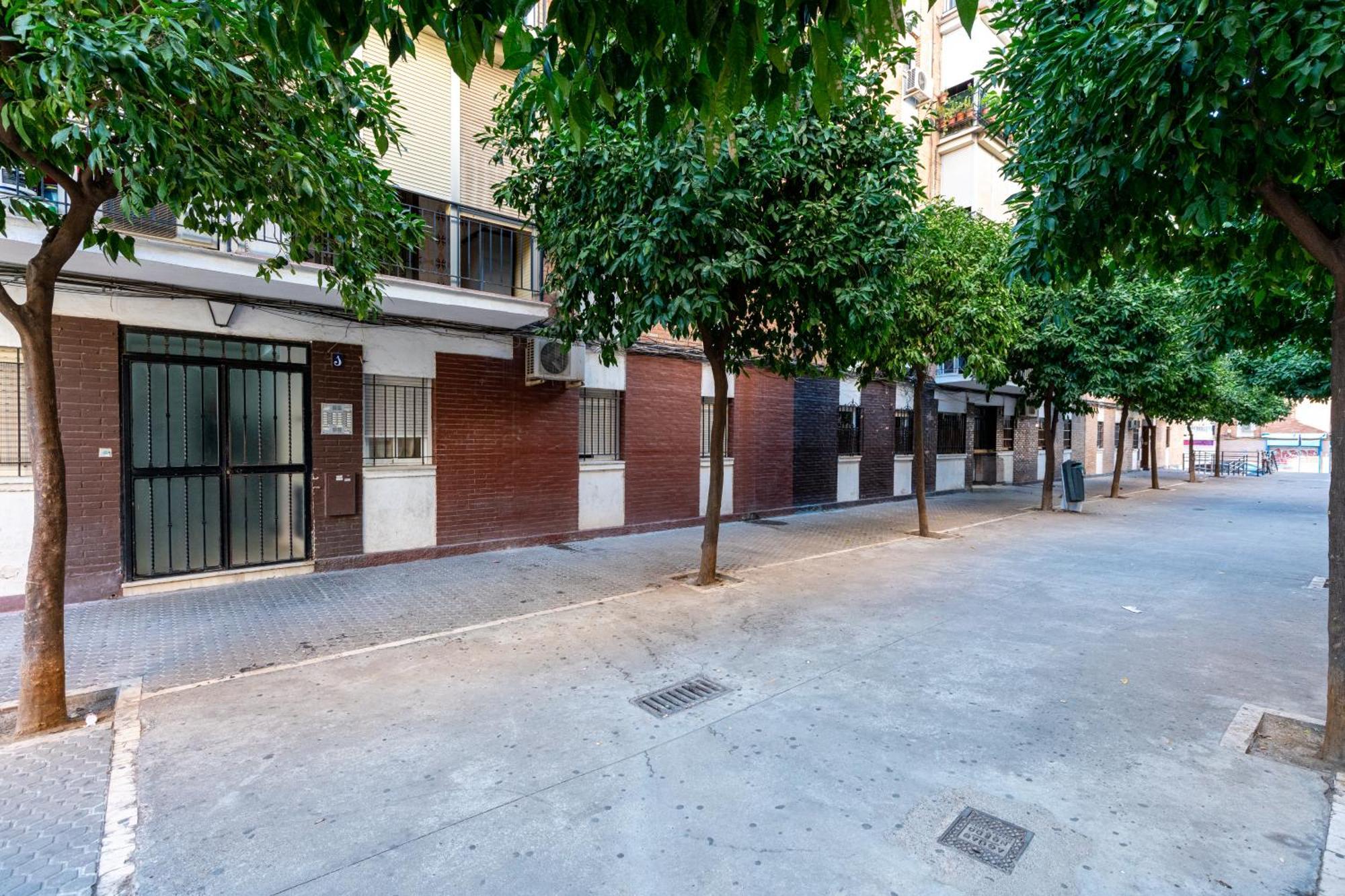 Piso Elegante Y Nuevo De 3 Habitaciones Y 2 Banos Sevilla Eksteriør billede